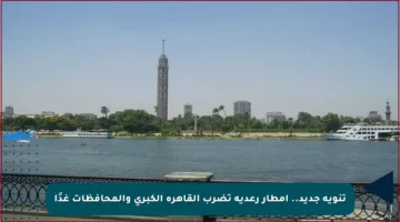 تنويه جديد.. أمطار رعدية تضرب القاهرة الكبرى والمحافظات غدًا